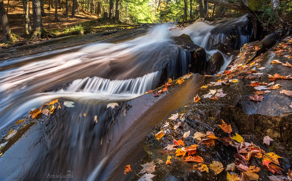 Leatherby Falls in Fall