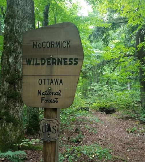 McCormick Wilderness Sign