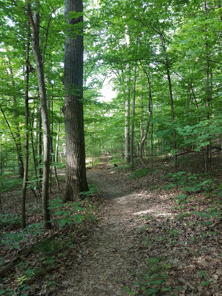 Trail at Sleepy Hollow State Park